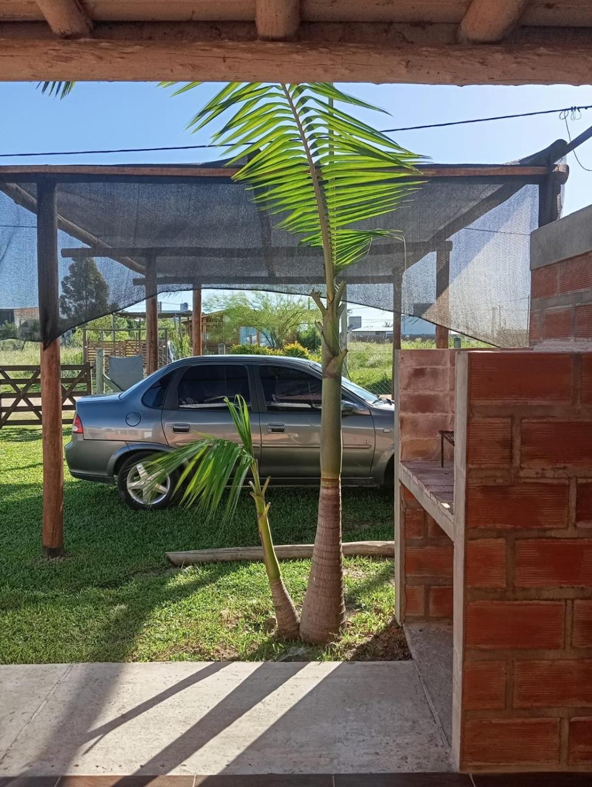 Tu Lugar De Descanso Ii * Federacion